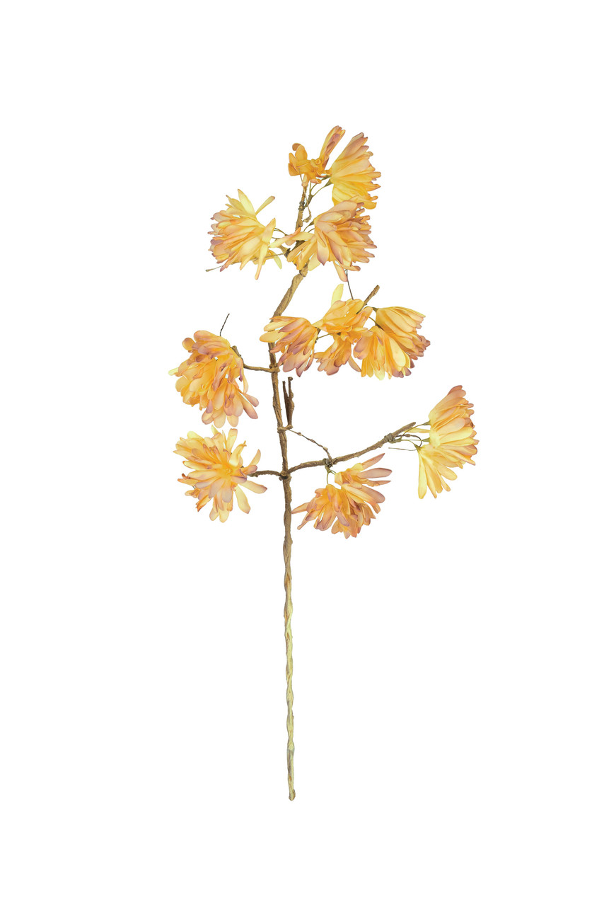 KALALOU CLX3590 BOTANICA #3590