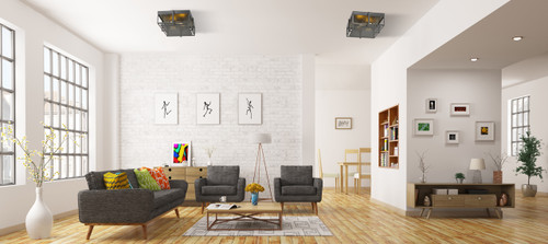 Z-LITE 724F13-BRZ+HBR 2 Light Flush Mount