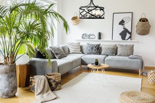 Z-LITE 481P24-MB-BN 6 Light Pendant,Matte Black + Brushed Nickel