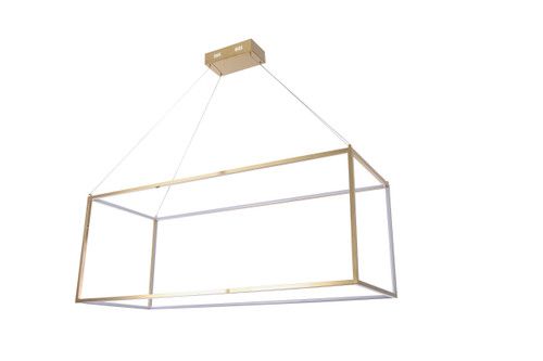 BETHEL INTERNATIONAL TR34 LED PENDANT LIGHT,Gold