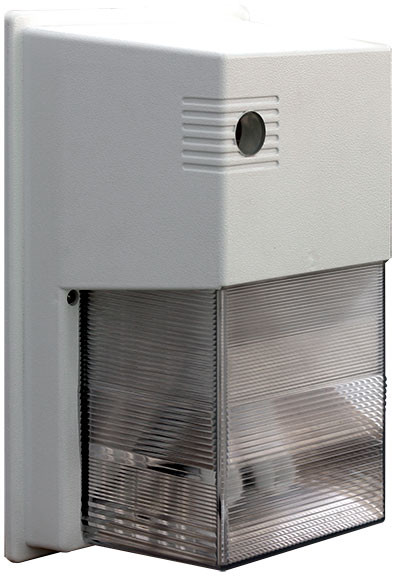 DABMAR LIGHTING SURFACE MOUNTED WALL FIXTURE