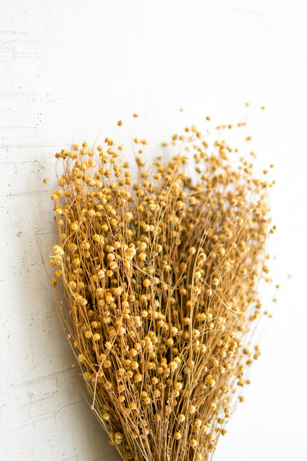 KALALOU NTRP1054 7 OZ. BUNDLE OF NATURAL LINO STEMS