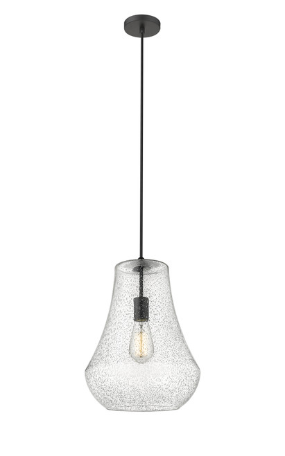 491-1P-BK-G574-12-LED