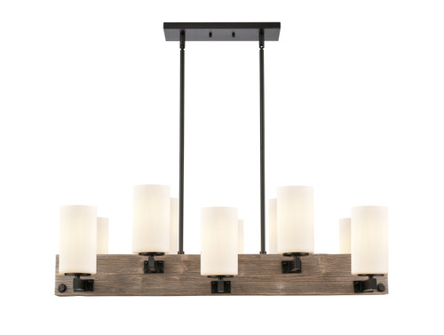 INNOVATIONS LIGHTING 424-10CH-BK-G4451 Diego Island Light