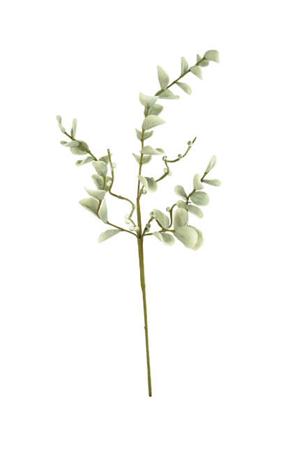 KALALOU CSL2496 BOTANICA #2496