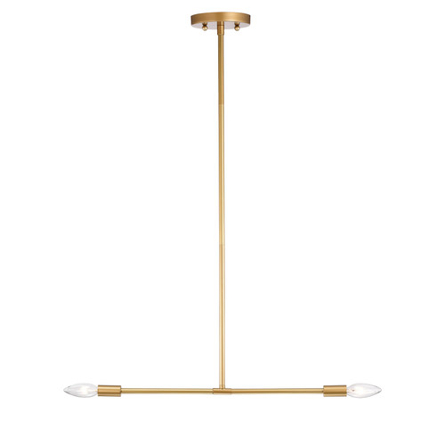 WAREHOUSE OF TIFFANY'S 2008/2PB Collin 0.75 in. 2-Light Indoor Matte Gold Finish Chandelier with Light Kit