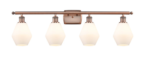 516-4W-AC-G651-6-LED