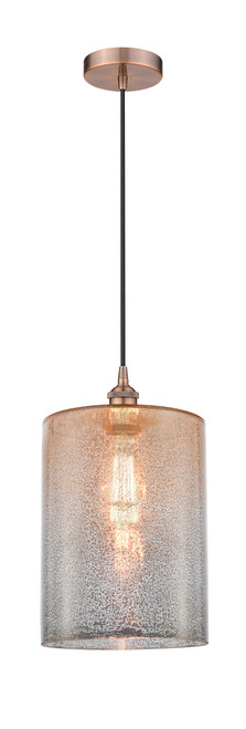 616-1P-AC-G116-L-LED