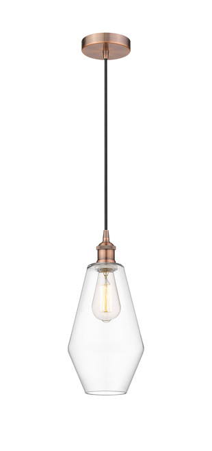 616-1P-AC-G652-7-LED