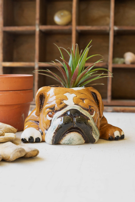 KALALOU CDV2139 CERAMIC BULLDOG PLANTER