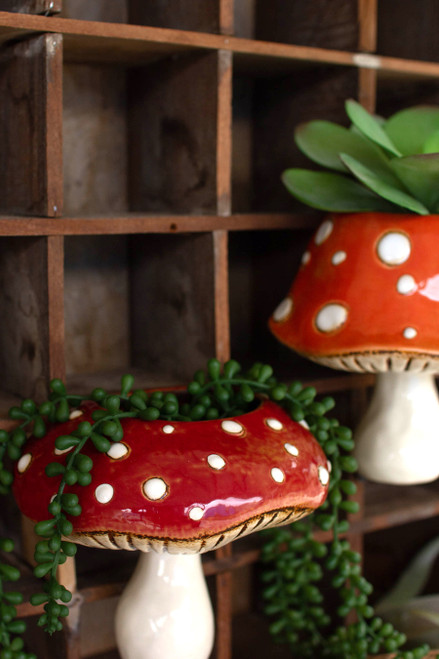 KALALOU CDV2167 SET OF TWO TOADSTOOL WALL HANGER PLANTERS