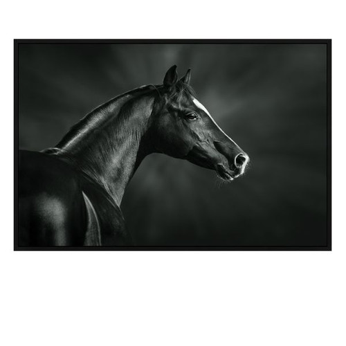 CRESTVIEW COLLECTION CVTOP2645 CHAMPION