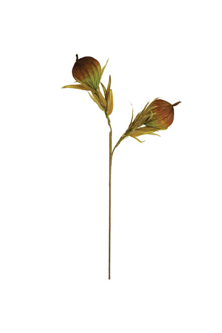 KALALOU CLX3455 BOTANICA #3455 KALALOU CLX3455 BOTANICA #3455