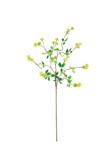 KALALOU CLX3474 BOTANICA #3474 KALALOU CLX3474 BOTANICA #3474