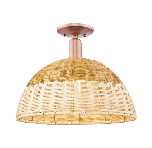 716-1C-AC-NBD2-16-NAT