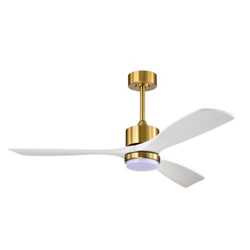 WAREHOUSE OF TIFFANY'S AW02W05BS Tariq 52 in. 1-Light Indoor Brass Finish Ceiling Fan with Light Kit WAREHOUSE OF TIFFANY'S AW02W05BS Tariq 52 in. 1-Light Indoor Brass Finish Ceiling Fan with Light Kit