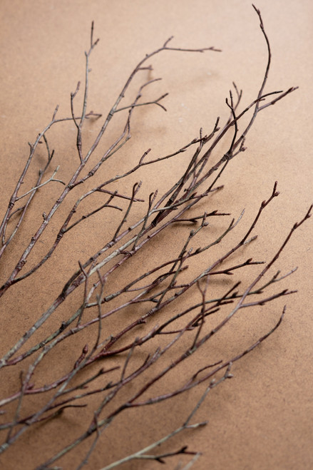 KALALOU CHAL1075 ARTIFICIAL BIRCH BRANCH STEM
