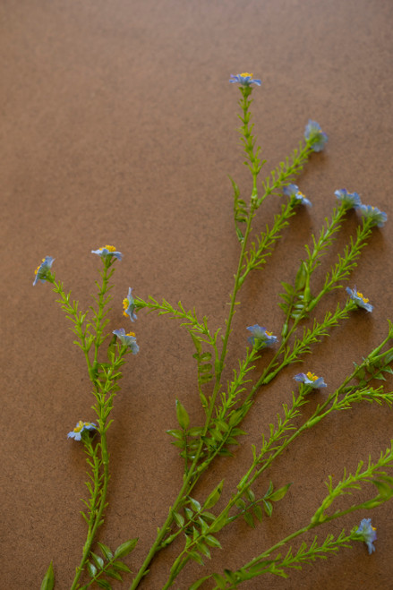 KALALOU CHAL1029 ARTIFICIAL DAISY SPRAY - BLUE