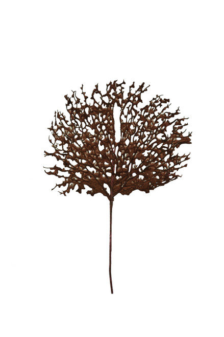 KALALOU CSL2808 BOTANICA #2808