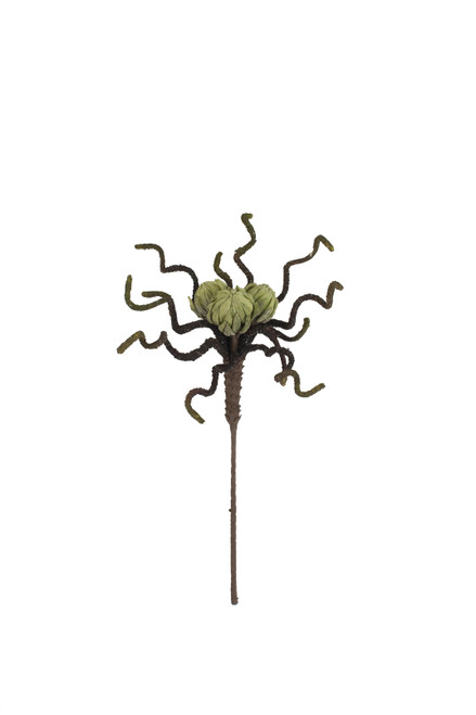 KALALOU CSL2841 BOTANICA #2841