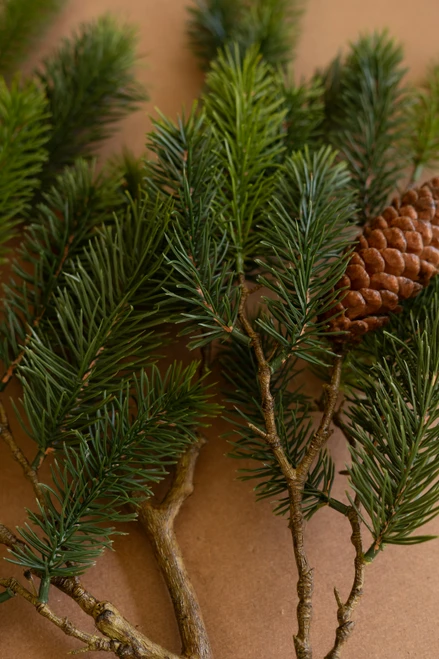 KALALOU CYF1523 ARTIFICIAL FIR SPRAY WITH PINE CONES