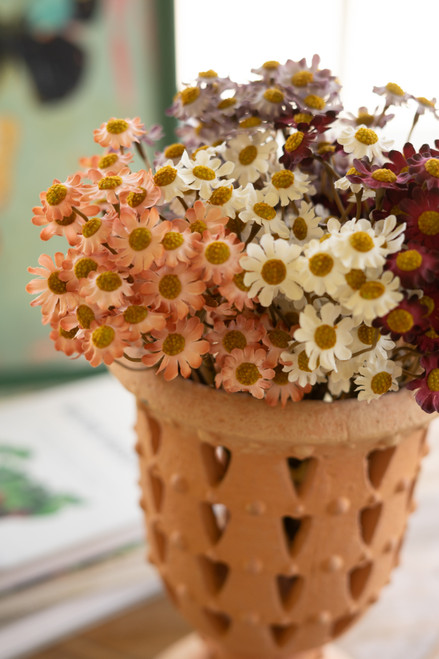 KALALOU CHAL1067 CHAMOMILE BUNDLE (6 STEMS) - WHITE