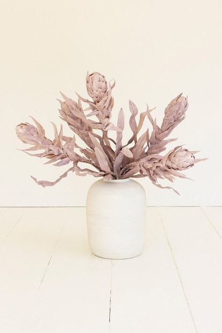 KALALOU CSL2755 BOTANICA #2755