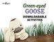 Downloadable Activities: Green-eyed Goose