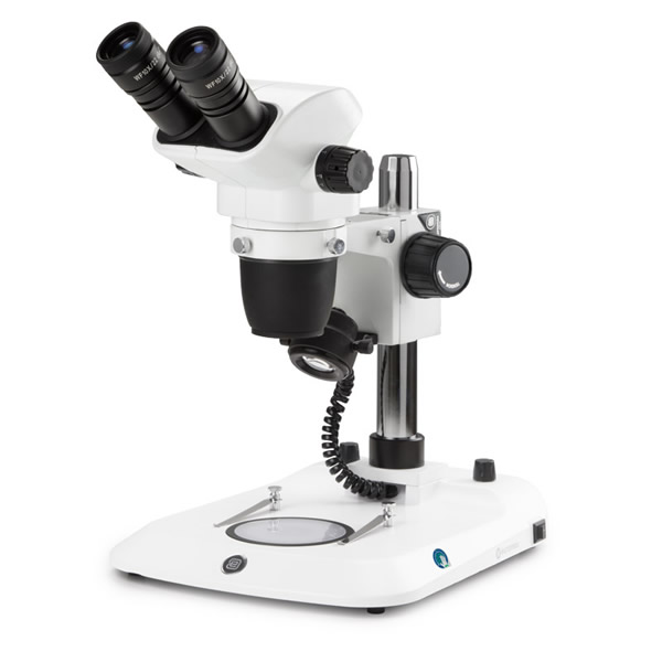 Euromex Stereo Microscope