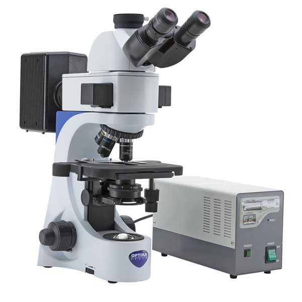 Fluorescence Microscope