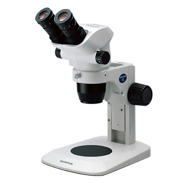 Olympus Stereo Microscope