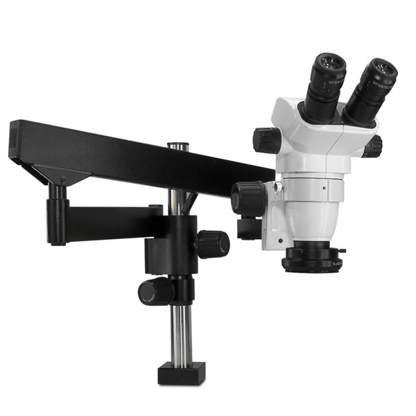 Scienscope Stereo Microscope