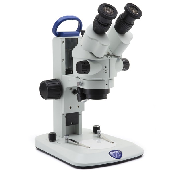 Stereo Microscope