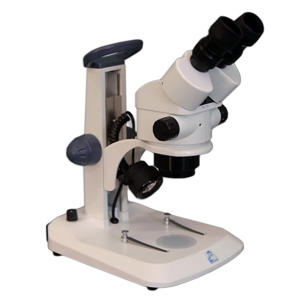 Zoom Stereo Microscope