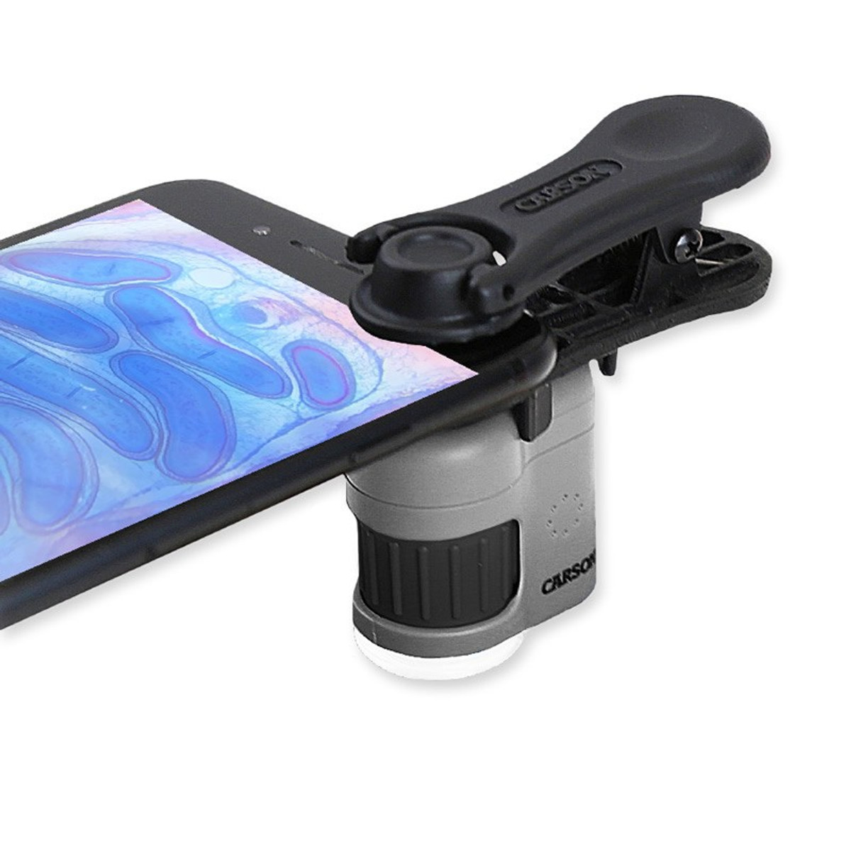 Carson MM-380 MicroMini HookUpz, 20x Microscope with Smart Phone Clip - New  York Microscope Company