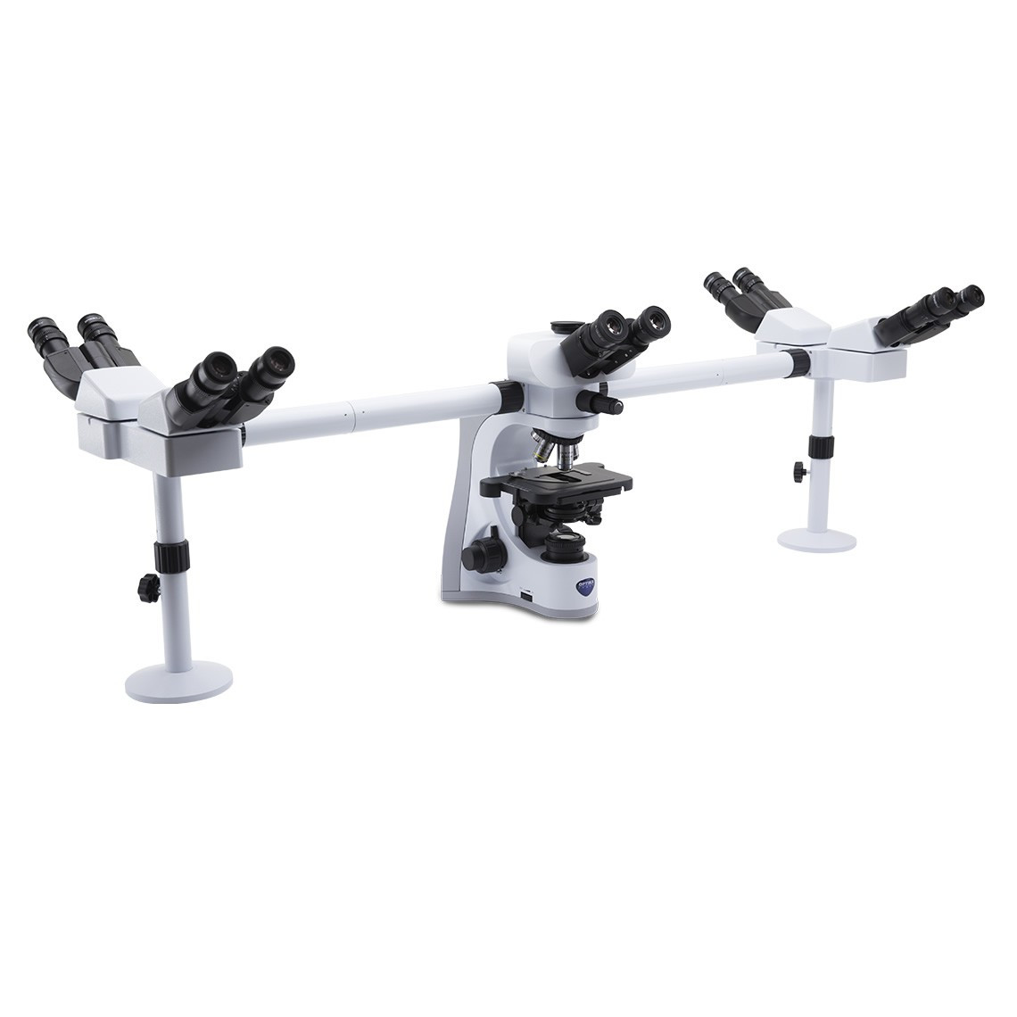 OPTIKA B-510-5 Five Headed Teaching Microscope - New York