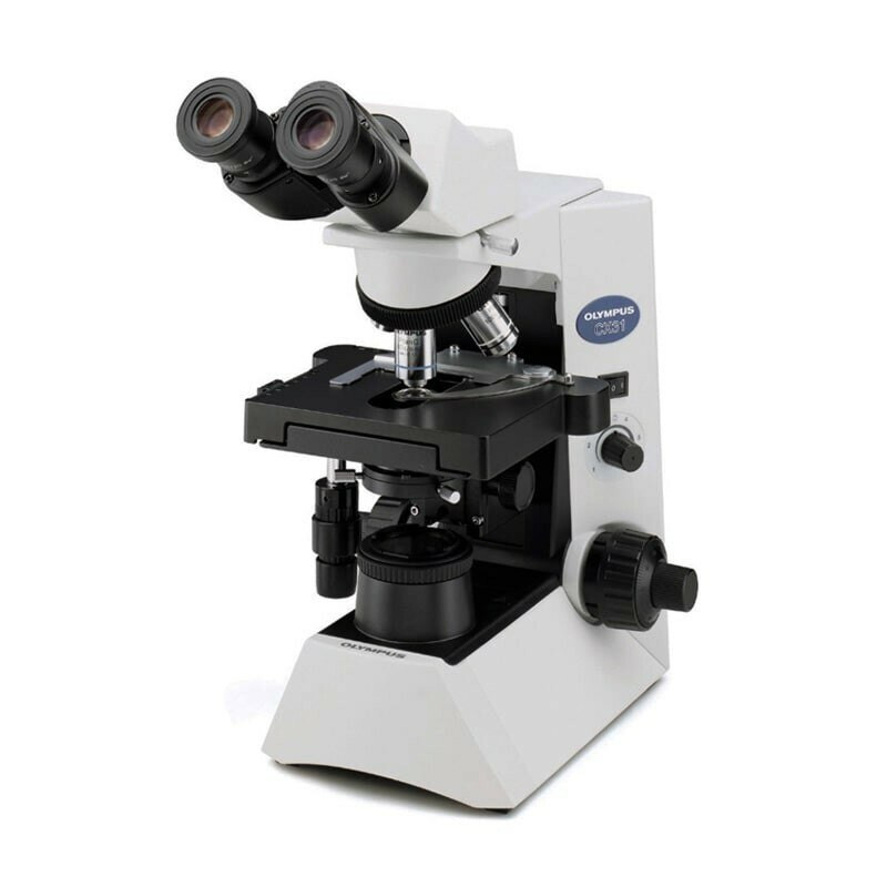 Olympus CX31 Microscope, Binocular, Three Objectives
