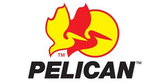 Pelican