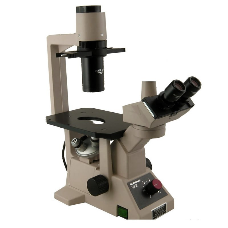 Olympus CK2 Inverted Trinocular Phase Tissue Culture Microscope