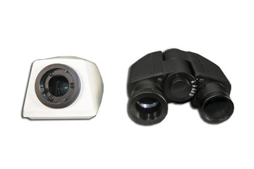 MA815 Siedentopf type binocular head