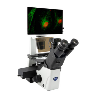 OPTIKA IM-300LD4D - IM-300 Digital Inverted LED fluorescence microscope, 400x, IOS LWD PLAN F, 4 empty filterset slots