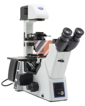 OPTIKA IM-5FLD - IM-5 Inverted LED fluorescence/phase contrast microscope, IOS, w/o objectives, UV, B&G filter set