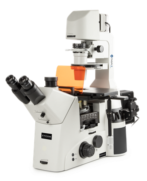 Euromex DI.3053-PLPHFi Trinocular Delphi-X Inverso inverted microscope with WF10x/25 mm eyepieces and Semi Apochromatic Plan Phase Fluarex Apo-PLPHFi 10x/20x/S40x IOS objectives with 6-positions nosepiece. Rotating disc for phase contrast and DIC pre