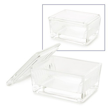 Euromex PB.5200 Glass Staining Dish with glass cover, holds 10 microscope slides