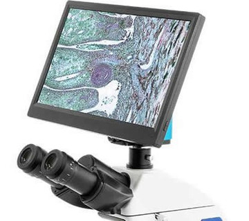LW Scientific BVC-1080-TVK3 BioVIEW Camera and 13" Monitor LW Scientific BVC-1080-TVK3 BioVIEW Camera and 13" Monitor