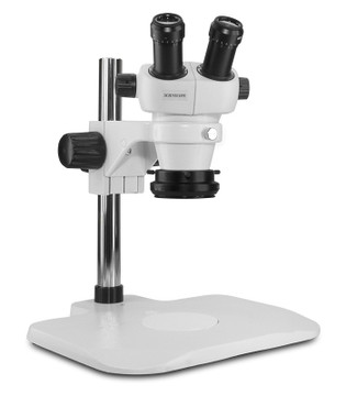 Carson MM-300 MicroBrite Plus, 60x - 120x LED Pocket Microscope - New York  Microscope Company