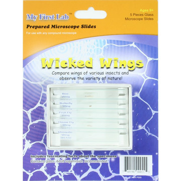 Prepared Slide Mini Set, Wicked Wings Prepared Slide Mini Set, Wicked Wings