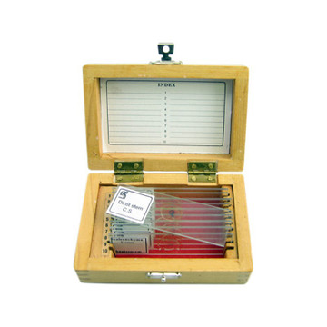 Botany Set of 10 Botany Set of 10