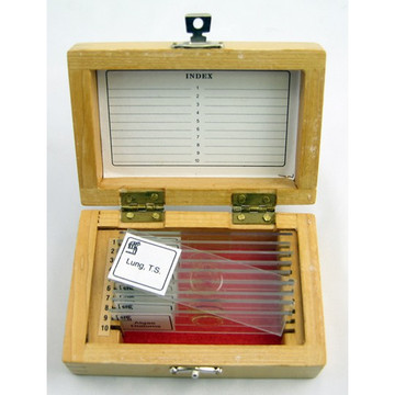 Human Histology Set of 10 Human Histology Set of 10