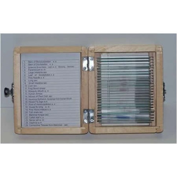 Mixed Botany & Zoology Set of 25 Mixed Botany & Zoology Set of 25